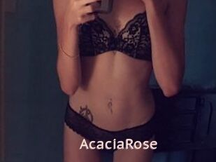 AcaciaRose