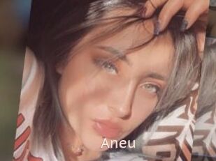 Aneu