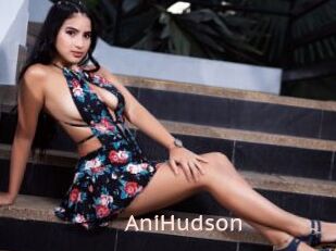 AniHudson
