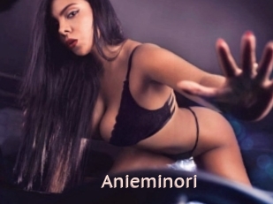 Anieminori