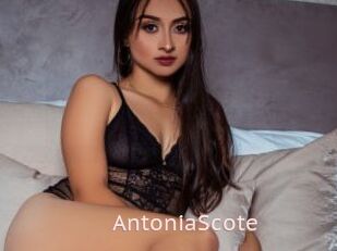AntoniaScote
