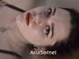 AriaSornei