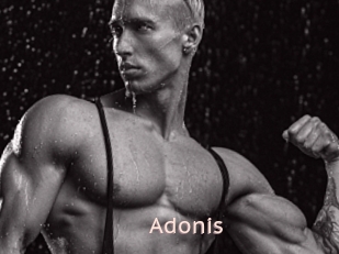 Adonis_