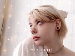 Alicebird