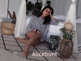 Alicebunt