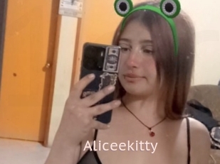 Aliceekitty