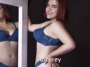 Alicerey