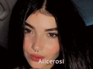 Alicerosi