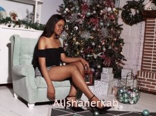 Alishanerkab