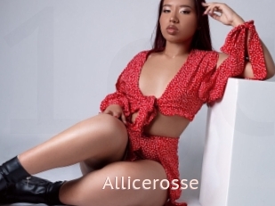 Allicerosse