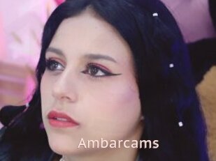 Ambarcams