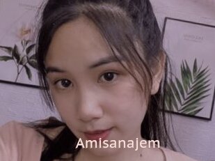 Amisanajem