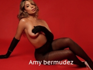 Amy_bermudez
