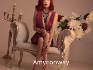 Amyconway