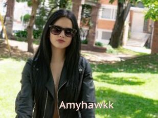 Amyhawkk