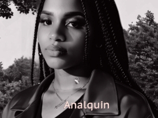 Analquin