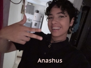Anashus
