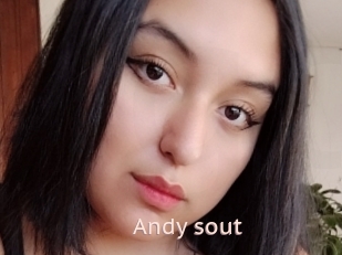 Andy_sout