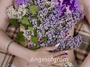 Angelofgrom