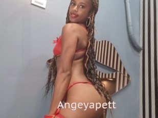 Angeyapett
