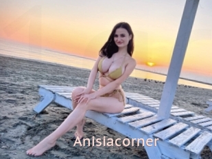 Anisiacorner