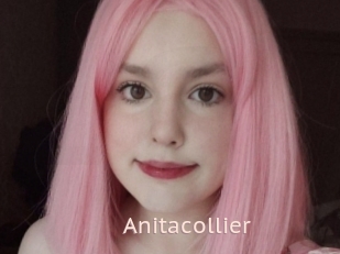 Anitacollier