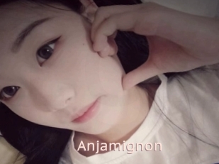 Anjamignon