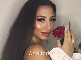 Annitadavid