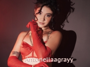 Antonellaagrayy
