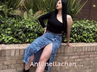Antonellachan
