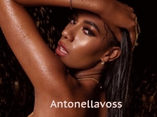 Antonellavoss