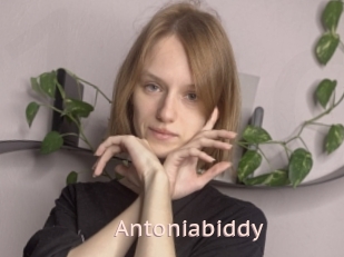 Antoniabiddy