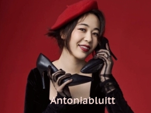 Antoniabluitt
