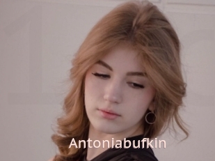 Antoniabufkin