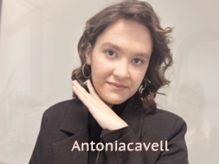 Antoniacavell