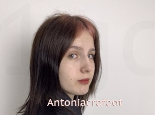 Antoniacrofoot