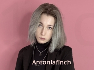 Antoniafinch
