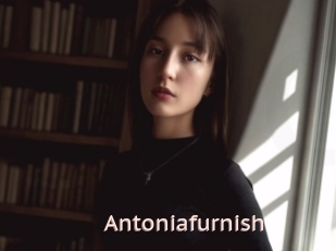 Antoniafurnish