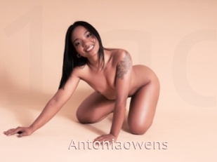 Antoniaowens