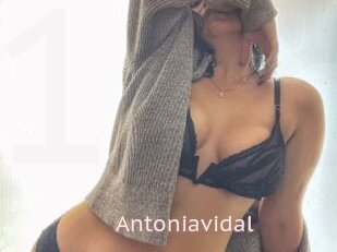 Antoniavidal