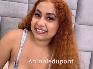 Antoniedupont