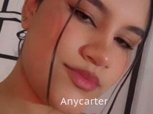 Anycarter