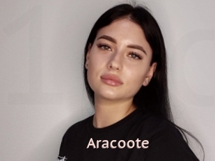 Aracoote
