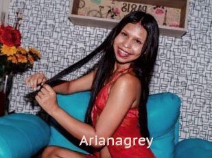 Arianagrey