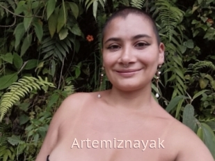 Artemiznayak