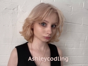 Ashleycodling
