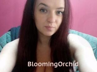 BloomingOrchid