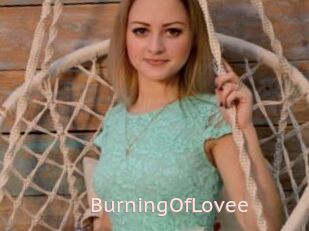 BurningOfLovee