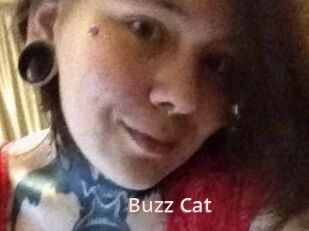 Buzz_Cat