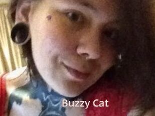 Buzzy_Cat